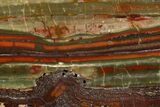 Stromatolite Slice - Pilbara, Australia ( Billion Years) #180182-1